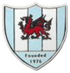 Mynydd Isa logo